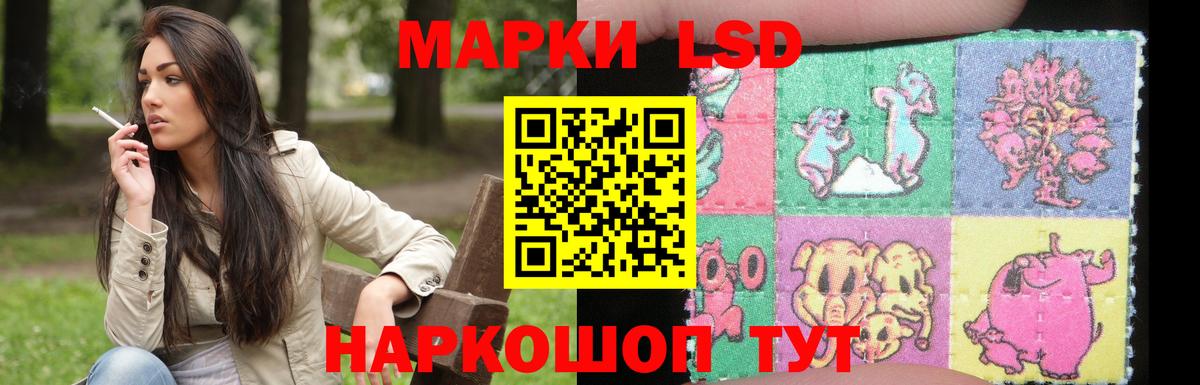 ЛСД экстази кислота  Вход с VPN  Курчалой  LSD-25 экстази кислота 