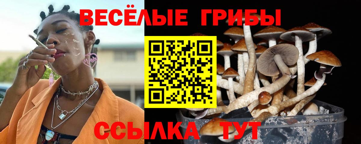 Галлюциногенные грибы мухоморы  Вход с VPN  Курчалой 